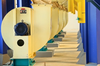 Odoo • Image and Text