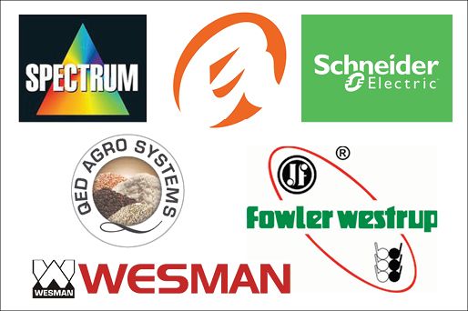 Odoo • Text and Image